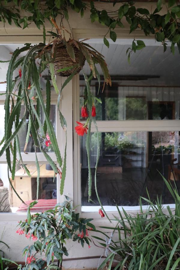 Strawbale Cottage - Wingspread Garden Strath Creek Екстер'єр фото