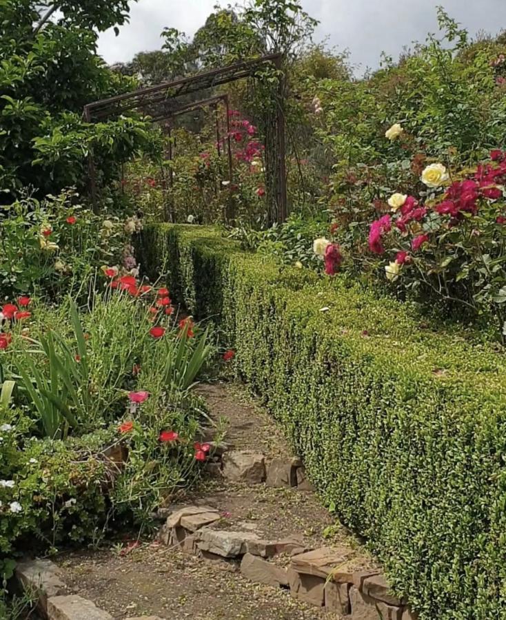 Strawbale Cottage - Wingspread Garden Strath Creek Екстер'єр фото